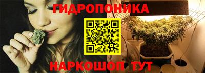 сатива Комсомольск-на-Амуре