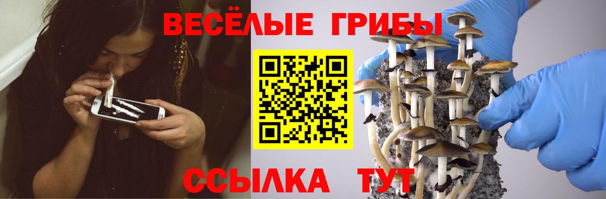 Псилоцибиновые грибы GOLDEN TEACHER Клинцы